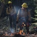 Experimental Forest Prescribed Burn
