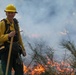 Experimental Forest Prescribed Burn