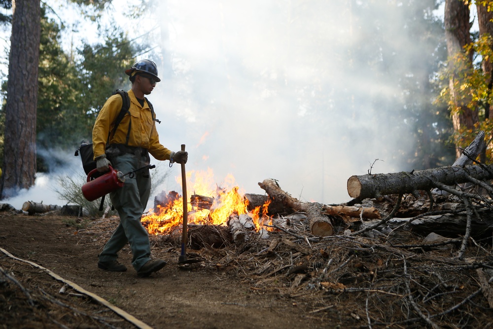 Experimental Forest Prescribed Burn
