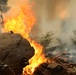 Experimental Forest Prescribed Burn