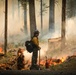 Experimental Forest Prescribed Burn