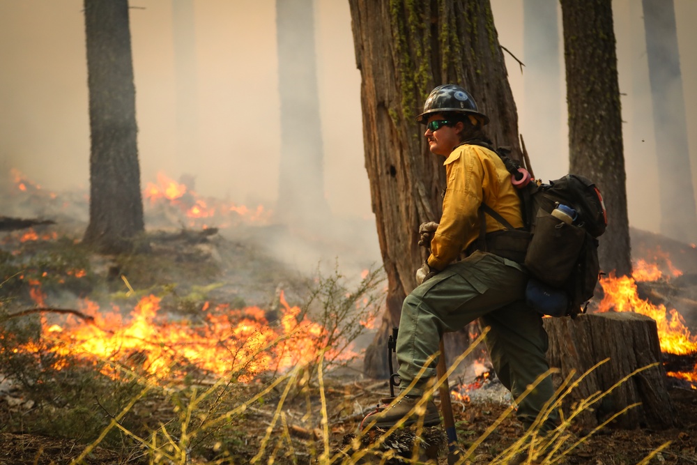 Experimental Forest Prescribed Burn