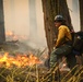 Experimental Forest Prescribed Burn