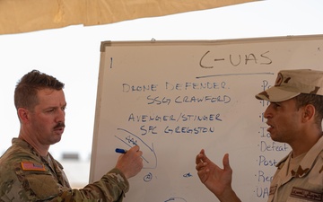 U.S. Soldiers train C-UAS during Bright Star 25
