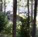 Marines with Advanced Infantry Training Company perform a combined arms live fire range