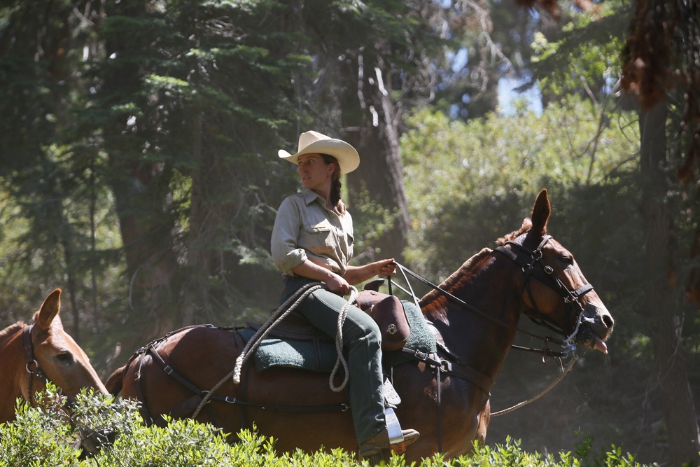 Back Country Tough