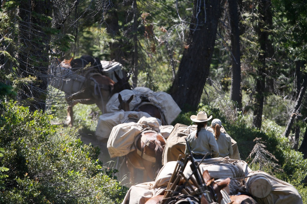 Back Country Tough