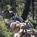 Back Country Tough