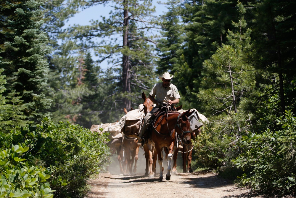 Back Country Tough