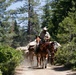 Back Country Tough