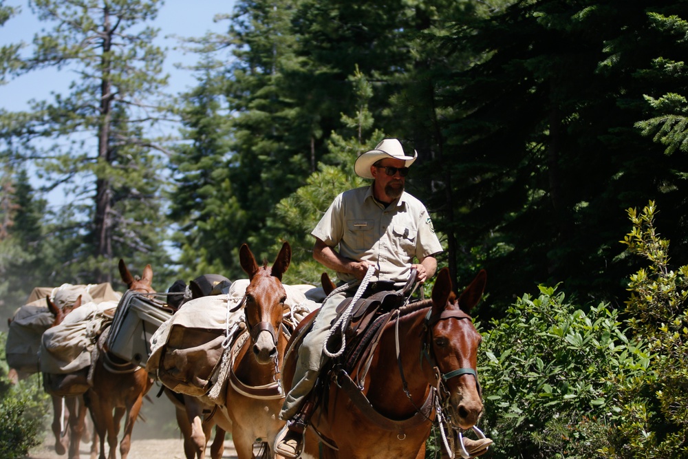 Back Country Tough