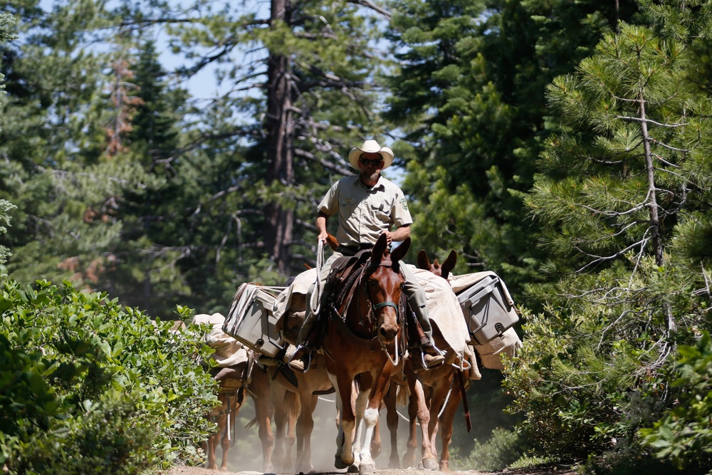 Back Country Tough