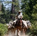 Back Country Tough