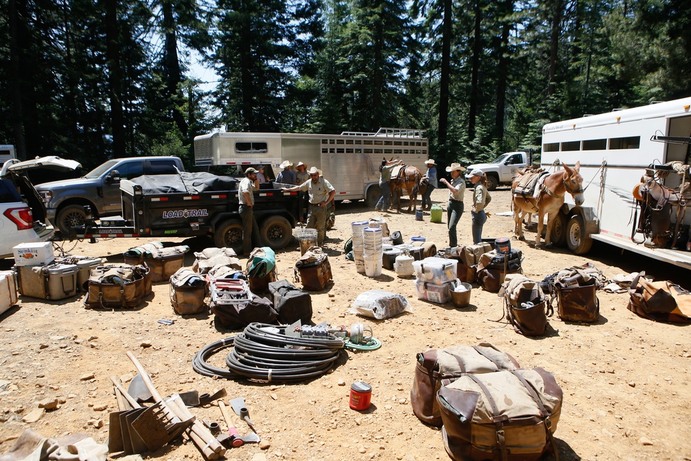 Back Country Tough