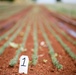 Placerville Nursery