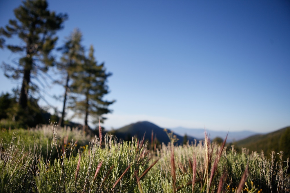 Around the Shasta-Trinity National Forest