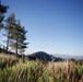 Around the Shasta-Trinity National Forest