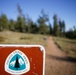 Around the Shasta-Trinity National Forest