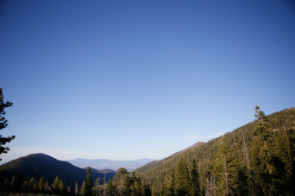 Around the Shasta-Trinity National Forest