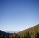 Around the Shasta-Trinity National Forest
