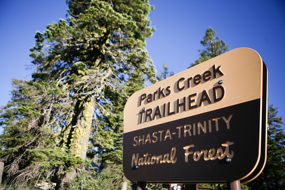 Around the Shasta-Trinity National Forest