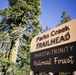 Around the Shasta-Trinity National Forest