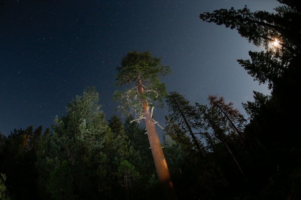 Around the Shasta-Trinity National Forest