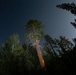 Around the Shasta-Trinity National Forest