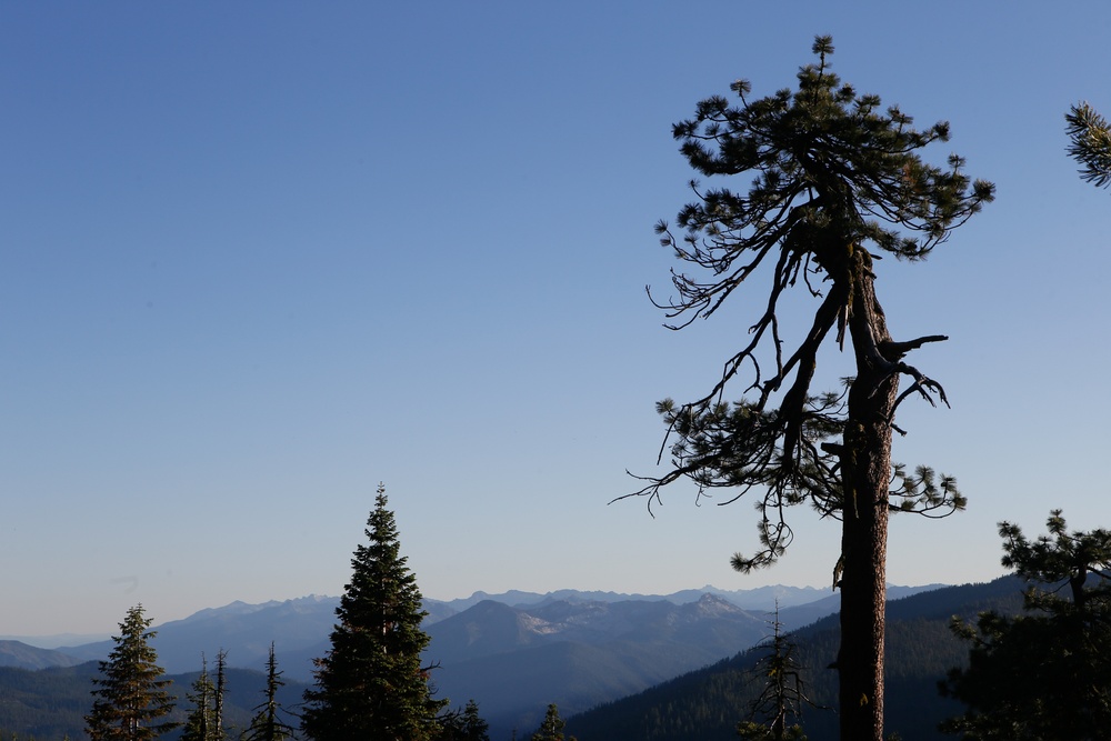 Around the Shasta-Trinity National Forest