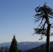 Around the Shasta-Trinity National Forest