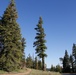 Around the Shasta-Trinity National Forest