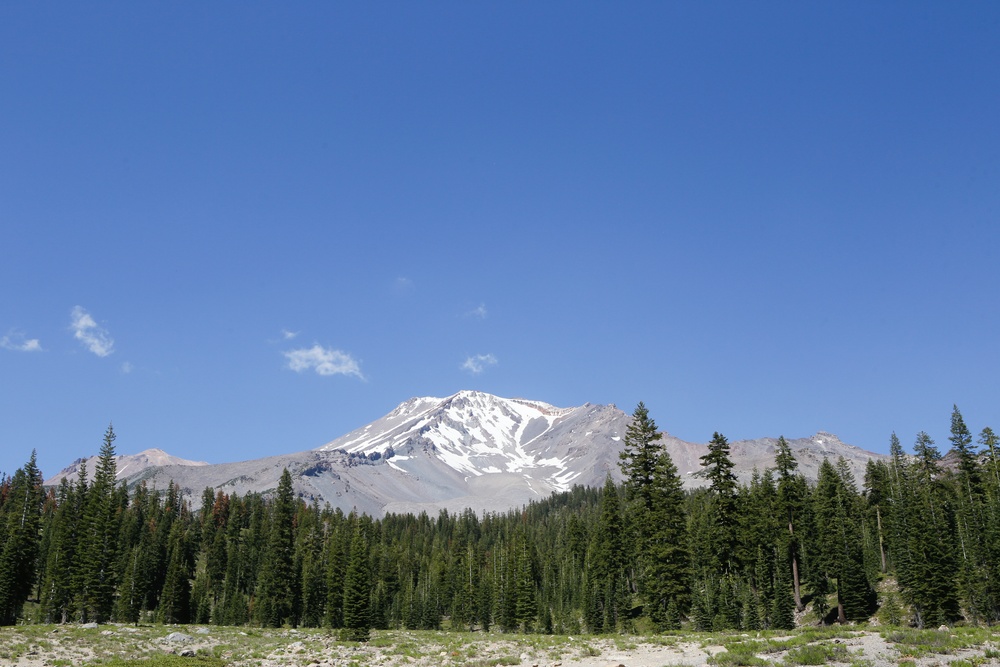 Around the Shasta-Trinity National Forest