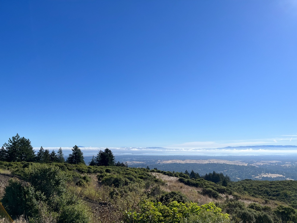 Around the Shasta-Trinity National Forest