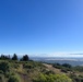 Around the Shasta-Trinity National Forest