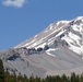 Around the Shasta-Trinity National Forest