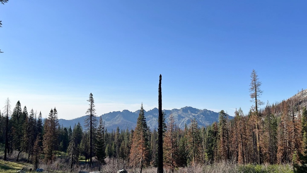 Around the Shasta-Trinity National Forest
