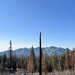 Around the Shasta-Trinity National Forest