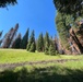 Around the Shasta-Trinity National Forest