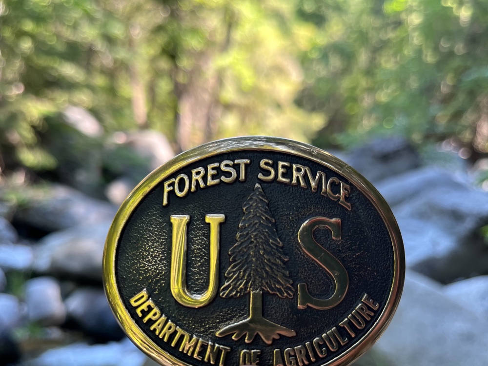 Around the Shasta-Trinity National Forest