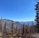 Around the Shasta-Trinity National Forest