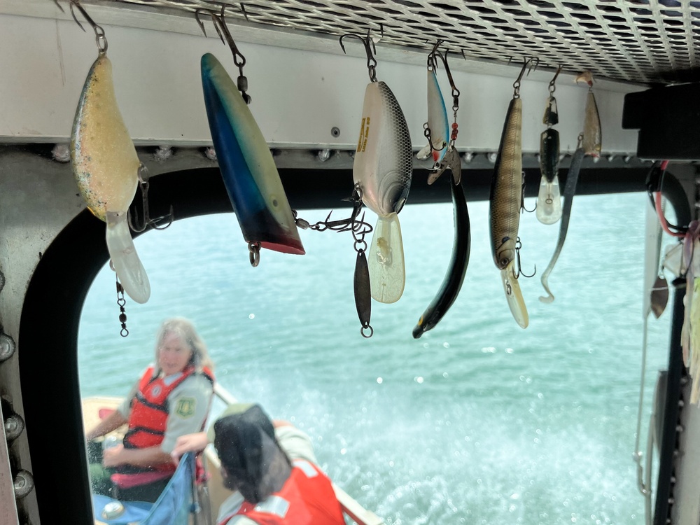 Around the Shasta-Trinity National Forest