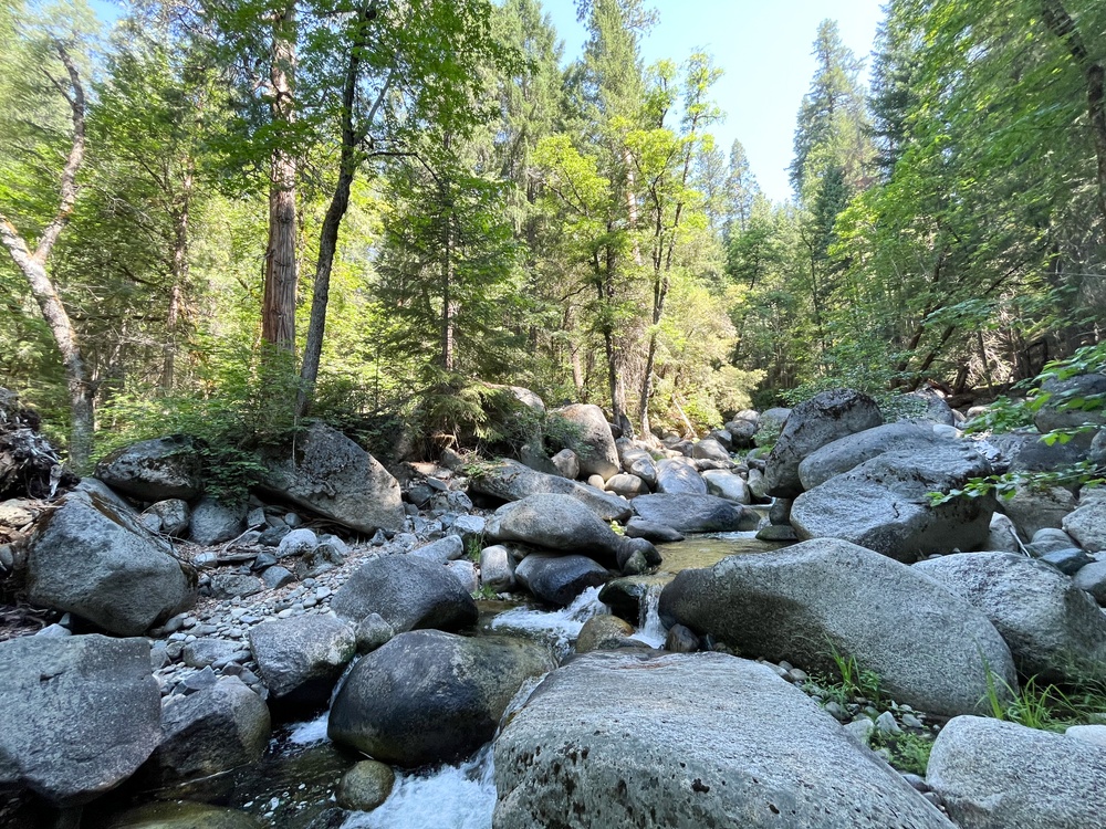 Around the Shasta-Trinity National Forest