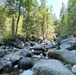 Around the Shasta-Trinity National Forest