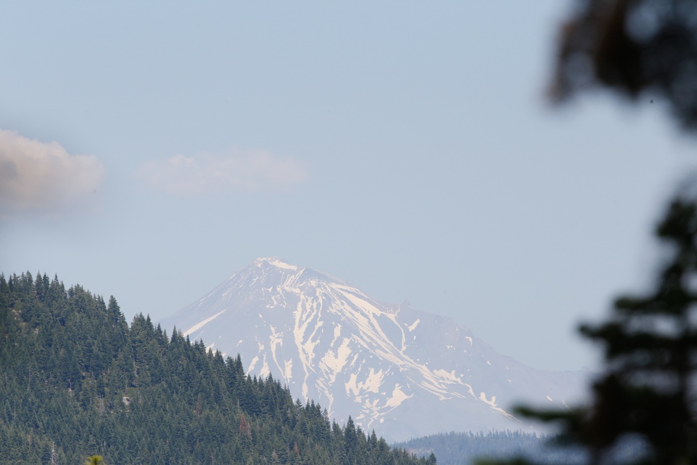 Around the Shasta-Trinity National Forest