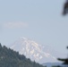 Around the Shasta-Trinity National Forest