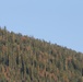 Around the Shasta-Trinity National Forest