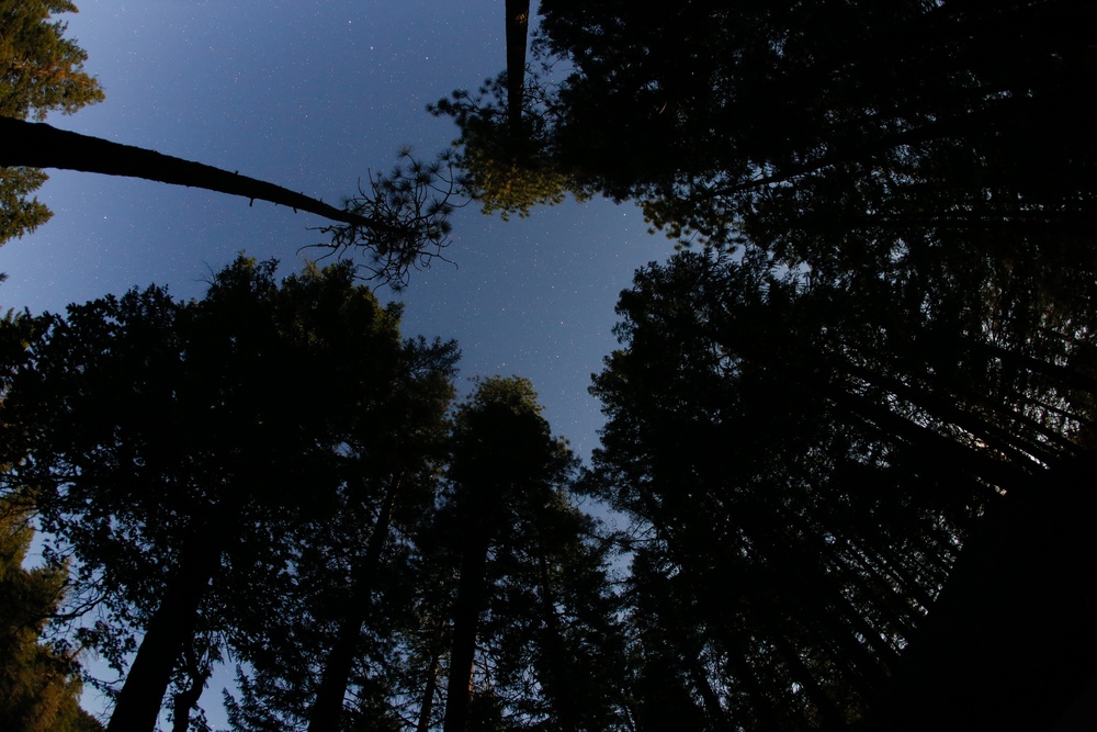 Around the Shasta-Trinity National Forest