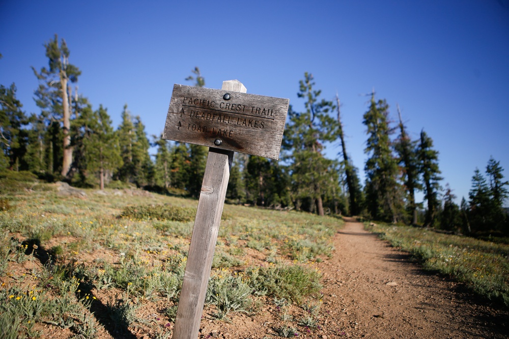 Around the Shasta-Trinity National Forest