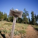 Around the Shasta-Trinity National Forest