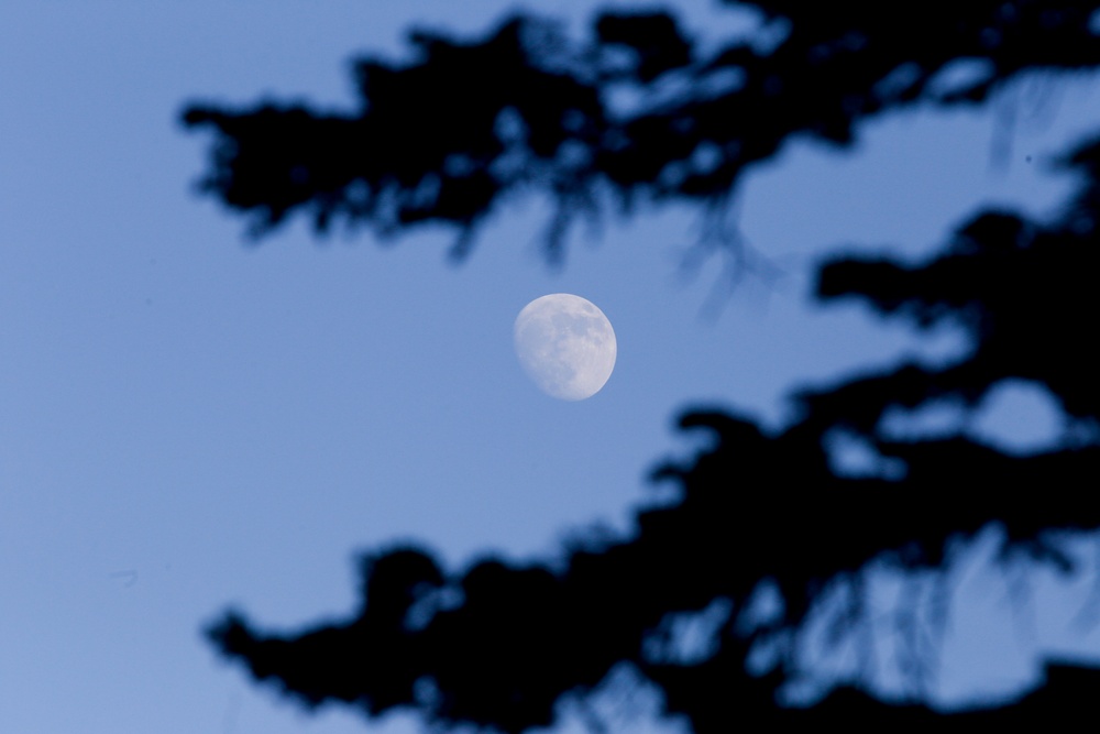 Around the Shasta-Trinity National Forest